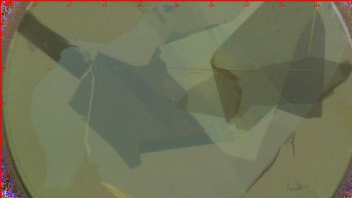 Mono-MoSe₂ dual gate