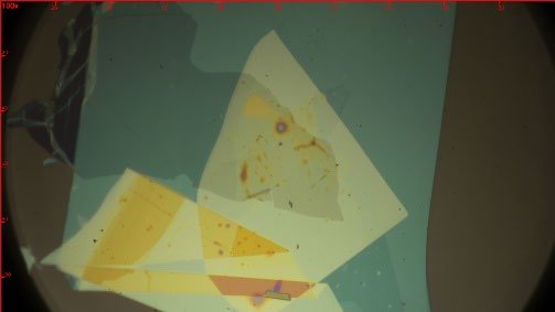 Mono-WS₂ dual gate