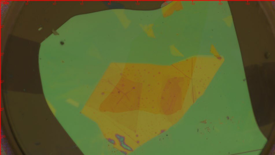 Mono-MoSe₂ single gate